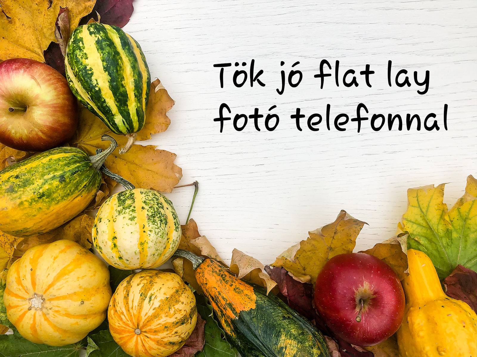 tök jó flat lay
