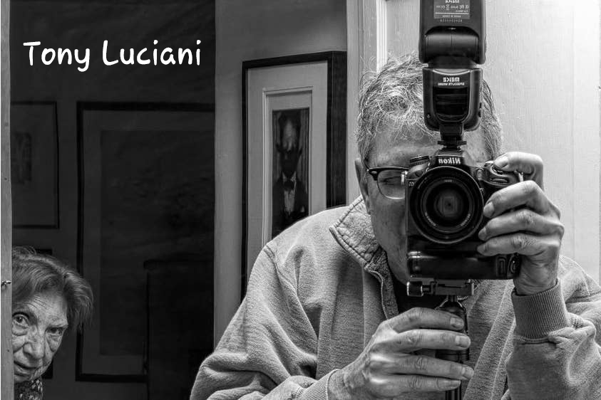 Tony Luciani festő