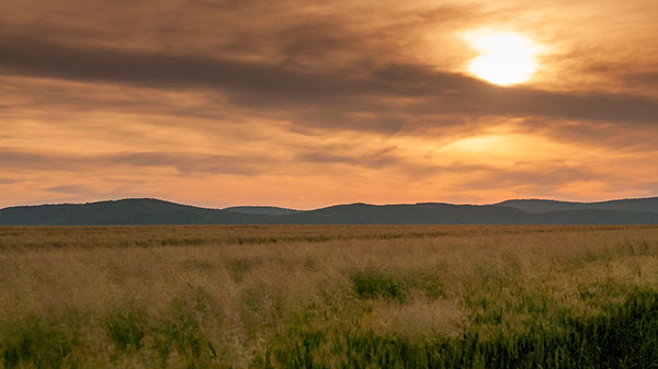 nd szűrők