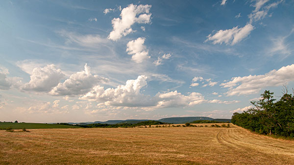 Polárszűrő