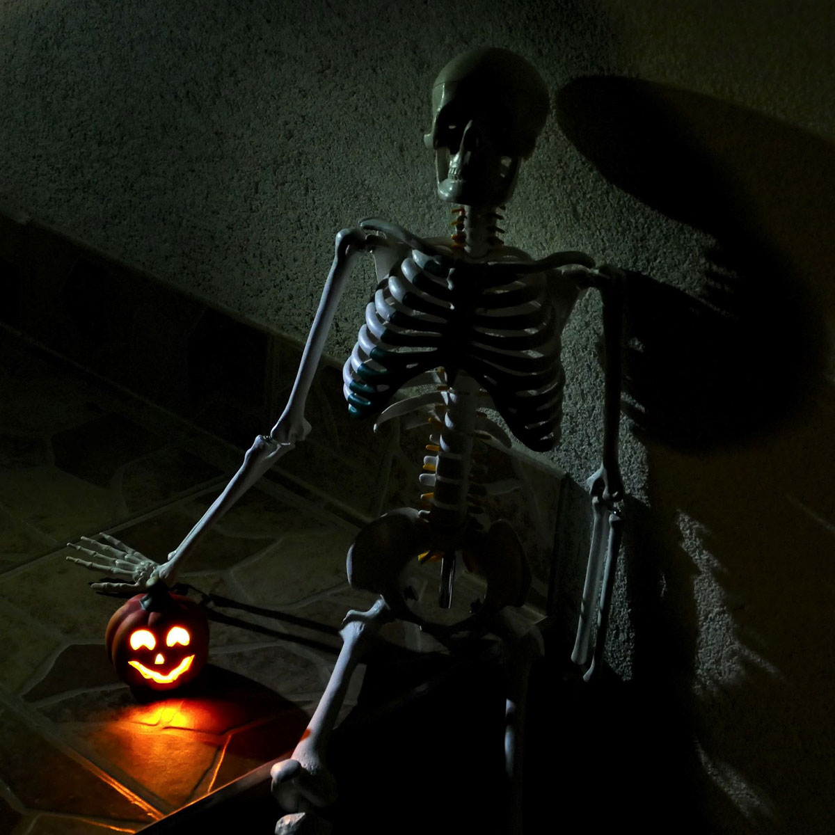 halloween csontváz