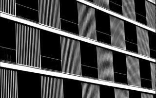 pepita feladat Pauli Laci