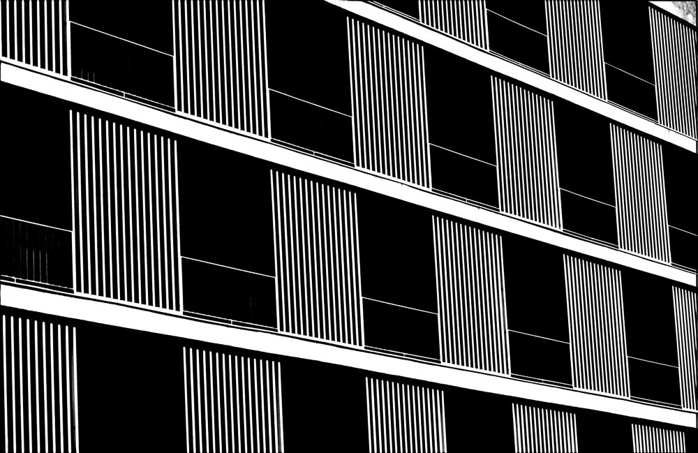 pepita feladat Pauli Laci