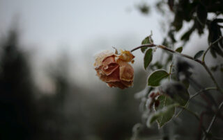 hideg feladat Sámson Bernadett