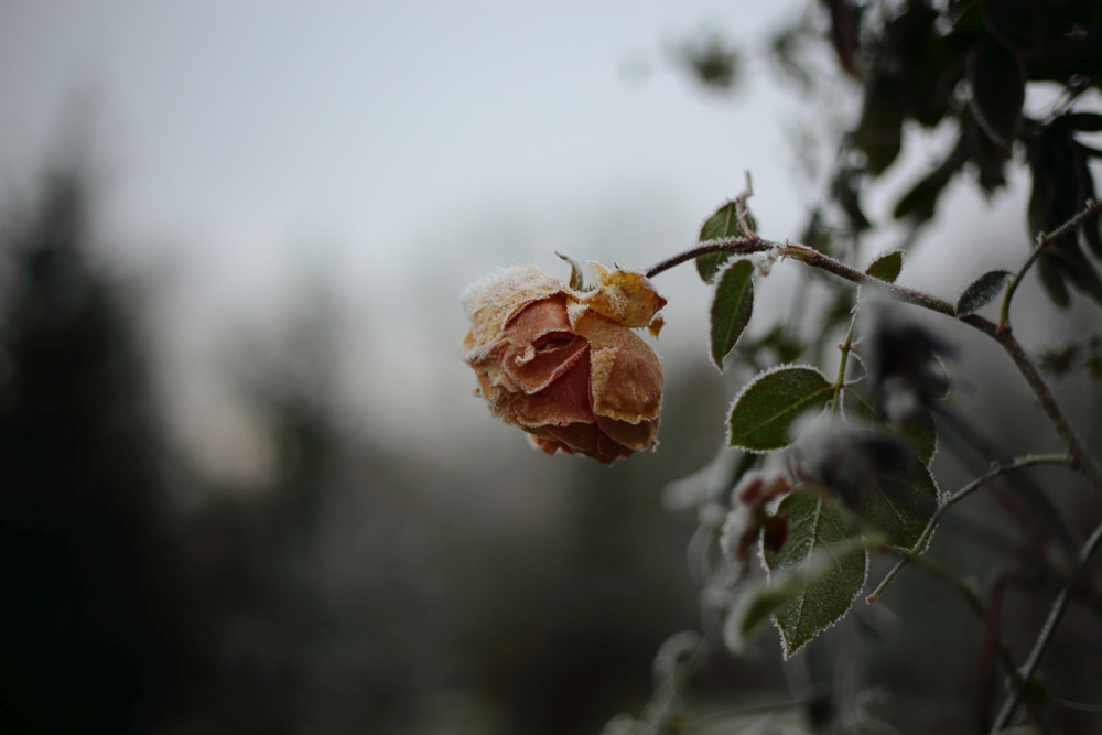 hideg feladat Sámson Bernadett