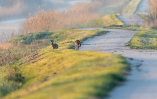 Gyémán Kálmán - húsvét kibeszélő
