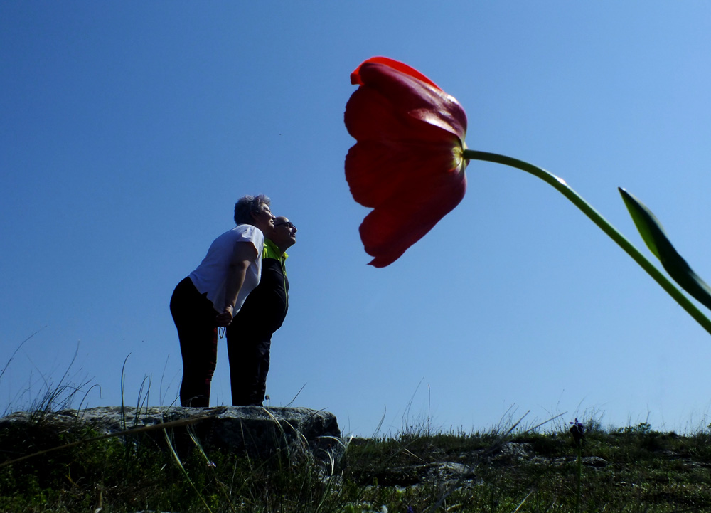 Vladiszavlyev Kriszta - hatalmas cím