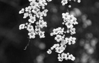 Szaszkó Detti Kihívás 23 tavasz cím