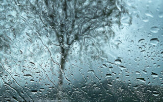 Fábián Szilvia - víz