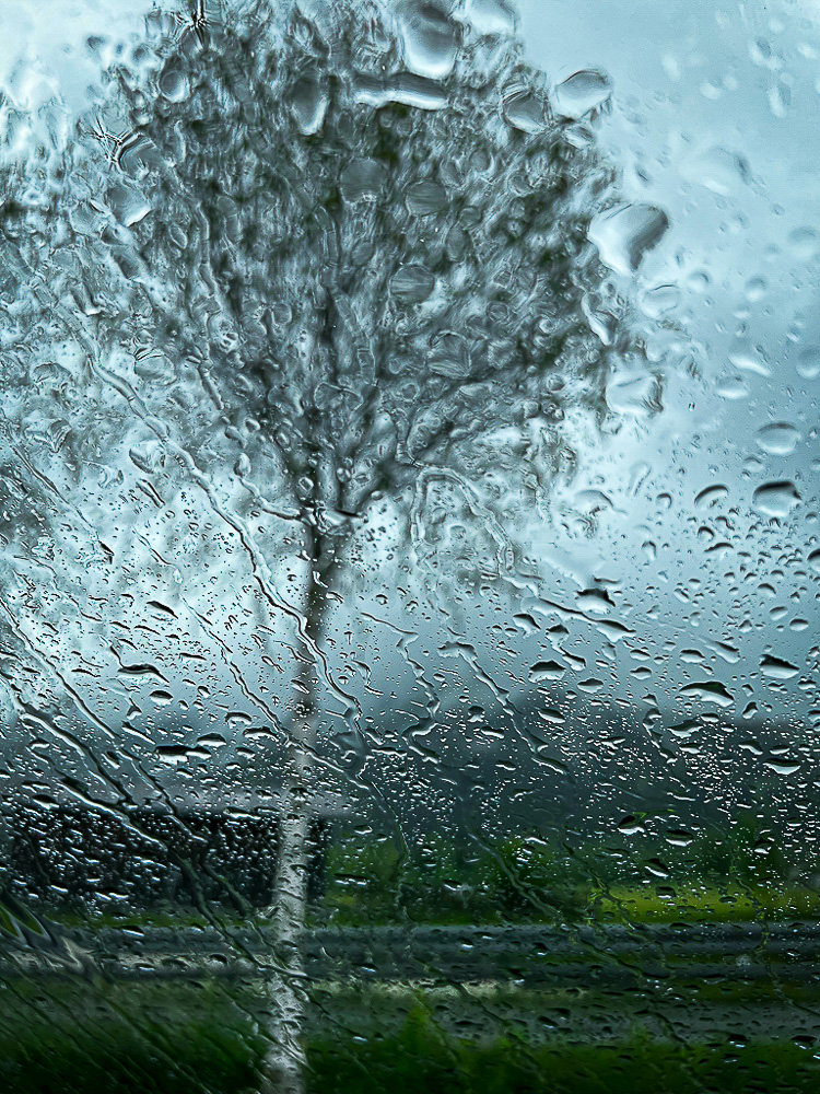 Fábián Szilvia - víz