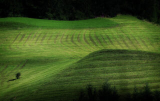 Belus Erika - ritmus