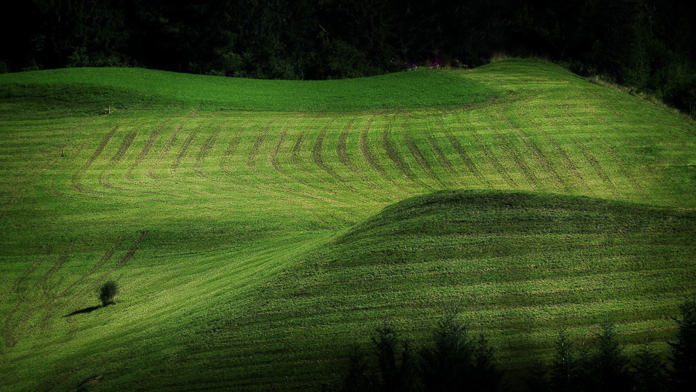 Belus Erika - ritmus