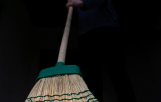 Falmon Erika - hangyaszemmel