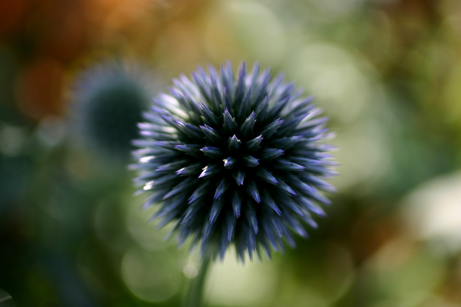 Mátyus Vali - gömb