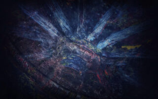 Belus Erika - kerék