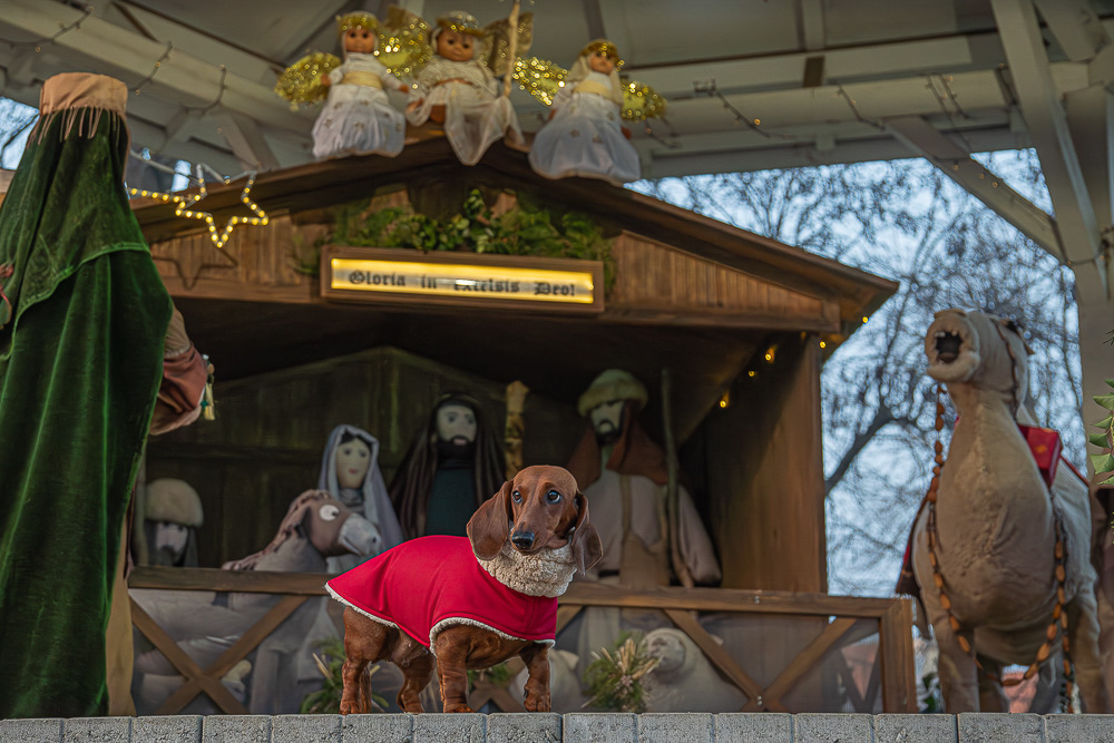 809-Ats-Joe-karacsonyiorulet-i(1000 x 667)