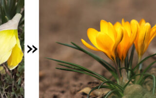 előtte-utána címlap