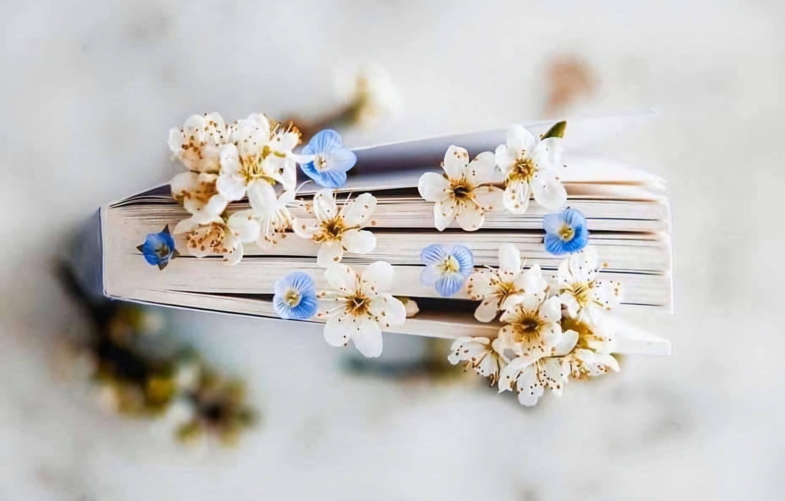 flatlay