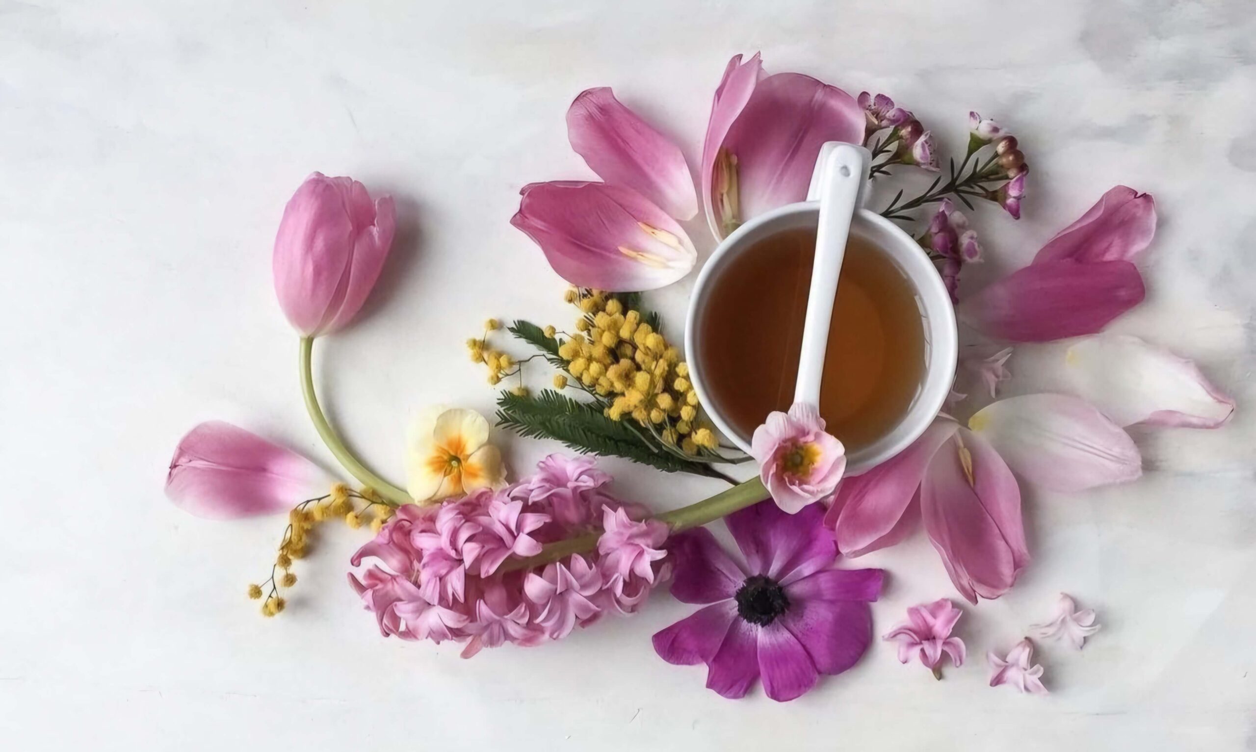 flatlay