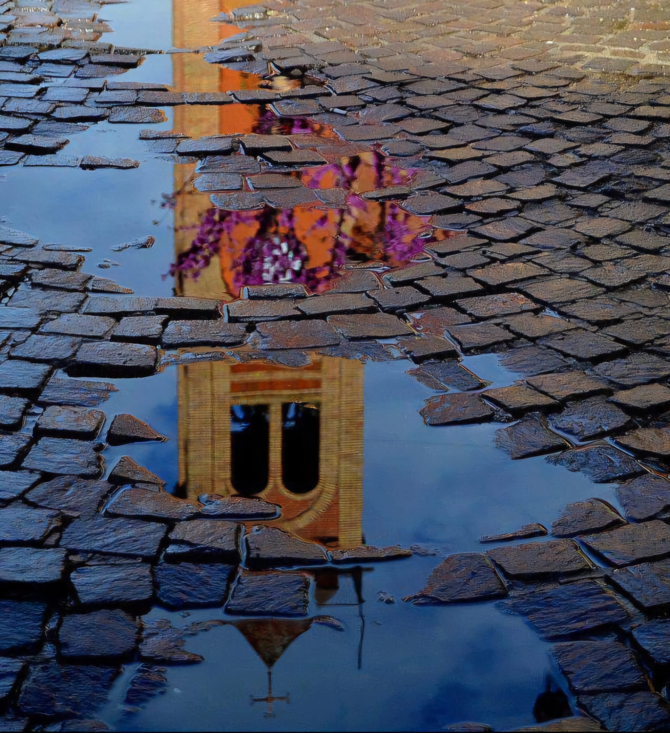 tavasz streetfotó