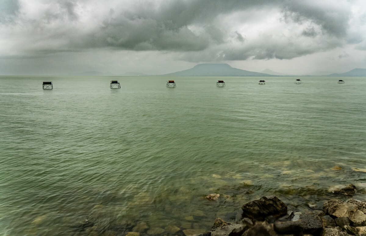 Horváth Balázs: Visszhang