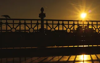 Rodek Robi- ébredés után