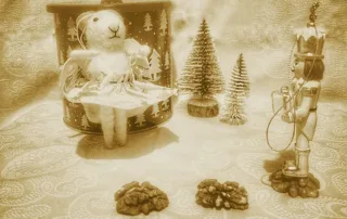 Fülöp Nóri: Diótörő