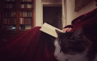 Jakabfi Márti: Kuckózás