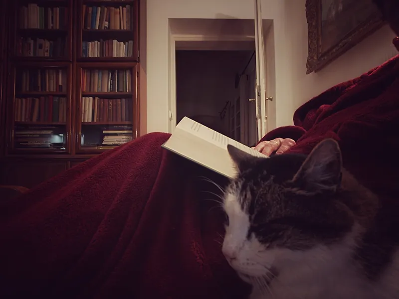 Jakabfi Márti: Kuckózás