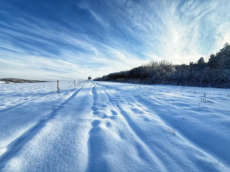 Diószegi Melinda: Végre itt a hó