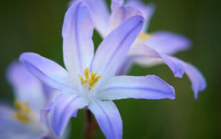 Sidó István: Kihívás 2026 tavasz