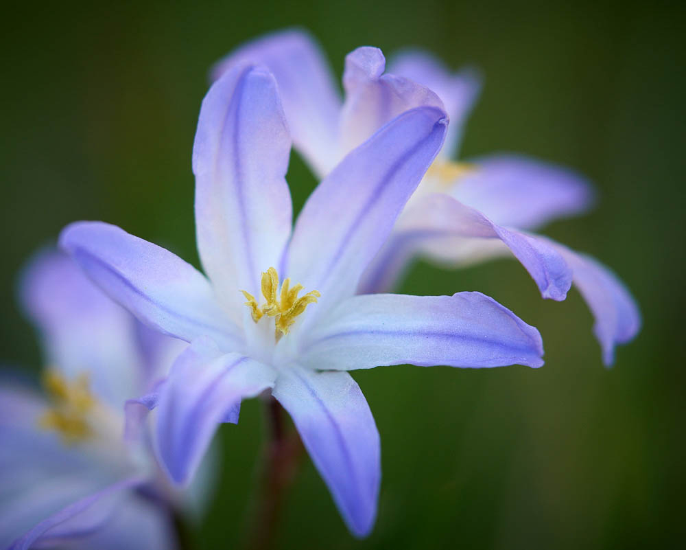 Sidó István: Kihívás 2026 tavasz