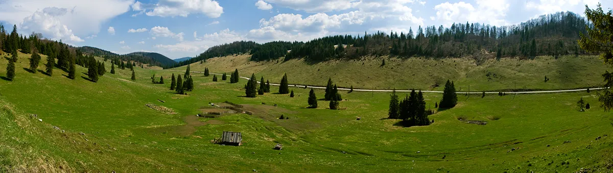Pádis panoráma