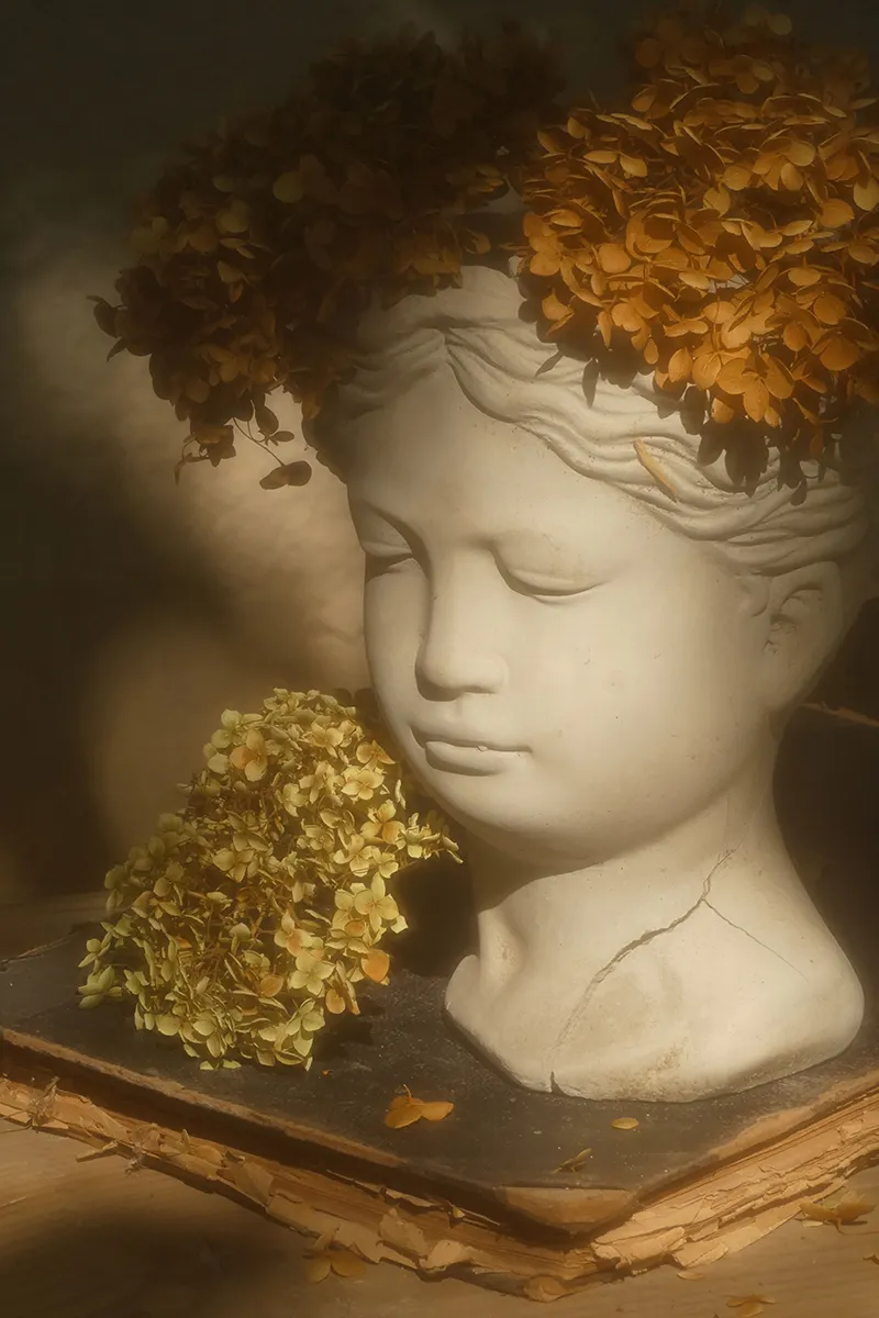 Kirtyan-Bea-csendelet Kirtyán Bea: Csendélet